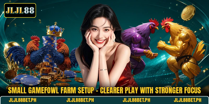 Small Gamefowl Farm Setup - Clearer Play With Stronger Focus Small Gamefowl Farm Setup - Clearer Play With Stronger Focus